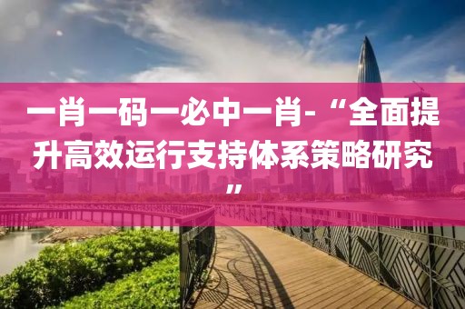 一肖一码一必中一肖-“全面提升高效运行支持体系策略研究”