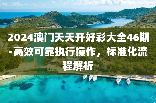 2024澳门天天开好彩大全46期-高效可靠执行操作，标准化流程解析