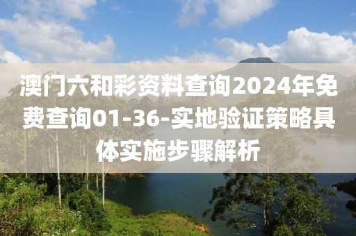 澳门六和彩资料查询2024年免费查询01-36-实地验证策略具体实施步骤解析