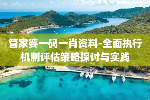 管家婆一码一肖资料-全面执行机制评估策略探讨与实践