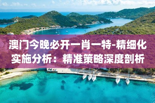 澳门今晚必开一肖一特-精细化实施分析：精准策略深度剖析