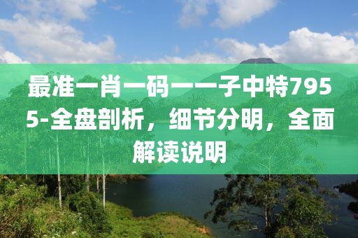 最准一肖一码一一子中特7955-全盘剖析，细节分明，全面解读说明