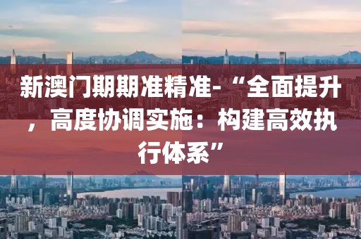 新澳门期期准精准-“全面提升，高度协调实施：构建高效执行体系”