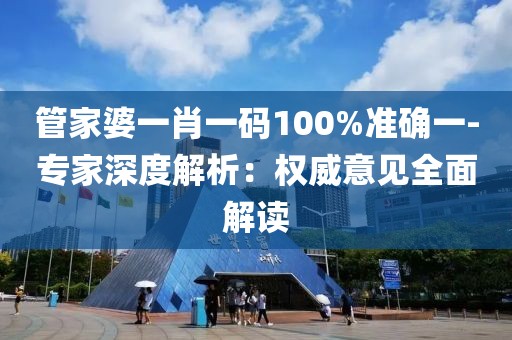 管家婆一肖一码100%准确一-专家深度解析：权威意见全面解读