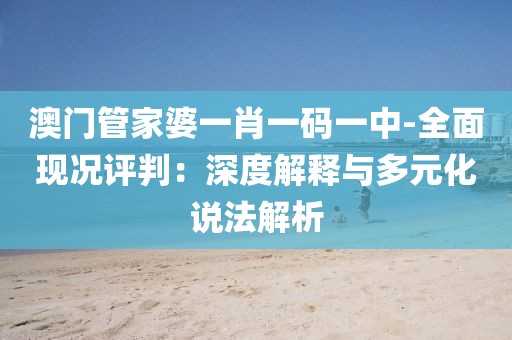 澳门管家婆一肖一码一中-全面现况评判：深度解释与多元化说法解析