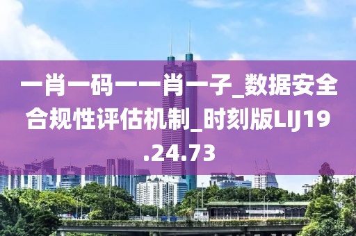 一肖一码一一肖一子_数据安全合规性评估机制_时刻版LIJ19.24.73