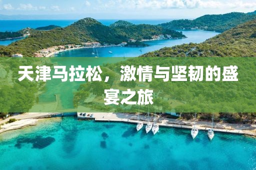 天津马拉松，激情与坚韧的盛宴之旅