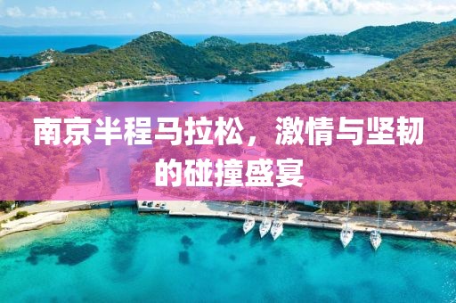 南京半程马拉松，激情与坚韧的碰撞盛宴