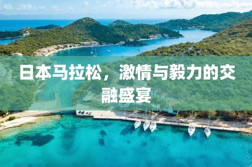 日本马拉松，激情与毅力的交融盛宴