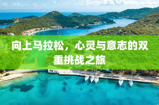 向上马拉松，心灵与意志的双重挑战之旅