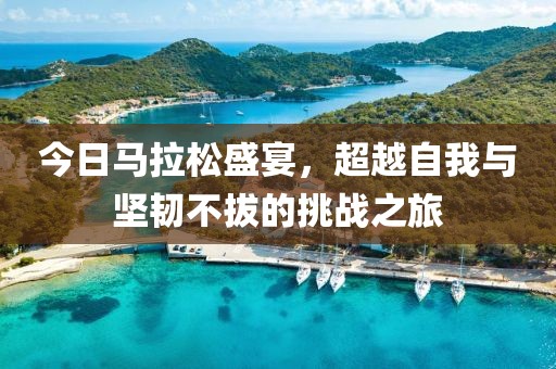 今日马拉松盛宴，超越自我与坚韧不拔的挑战之旅