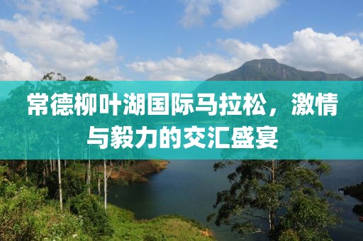 常德柳叶湖国际马拉松，激情与毅力的交汇盛宴