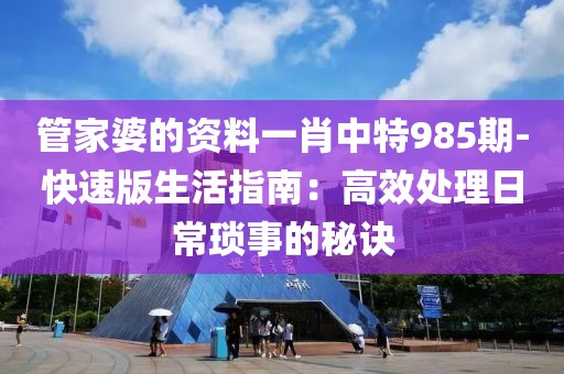 管家婆的资料一肖中特985期-快速版生活指南：高效处理日常琐事的秘诀