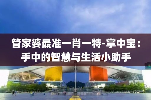 管家婆最准一肖一特-掌中宝：手中的智慧与生活小助手