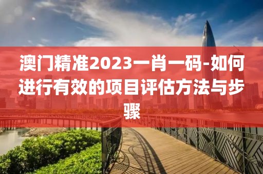 澳门精准2023一肖一码-如何进行有效的项目评估方法与步骤