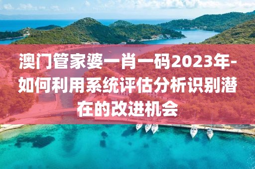 澳门管家婆一肖一码2023年-如何利用系统评估分析识别潜在的改进机会