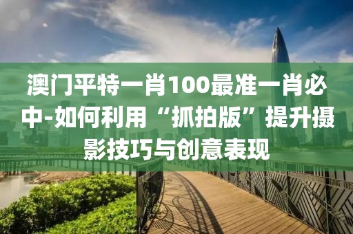 澳门平特一肖100最准一肖必中-如何利用“抓拍版”提升摄影技巧与创意表现