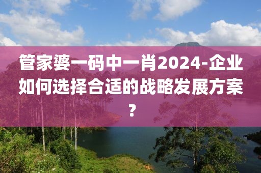 管家婆一码中一肖2024-企业如何选择合适的战略发展方案？