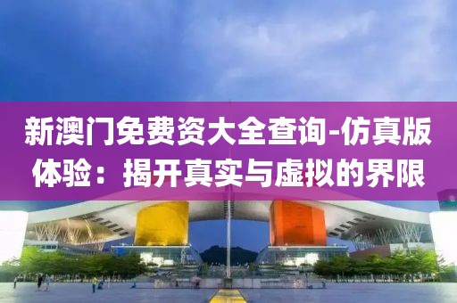 新澳门免费资大全查询-仿真版体验：揭开真实与虚拟的界限