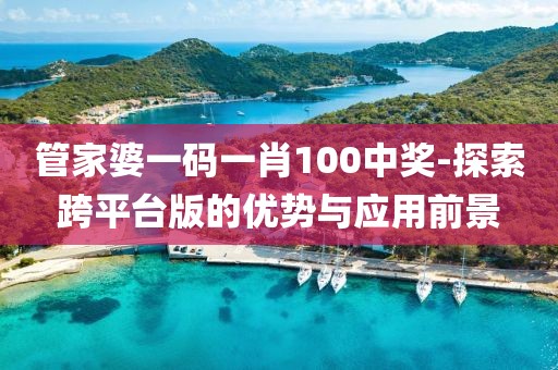 管家婆一码一肖100中奖-探索跨平台版的优势与应用前景