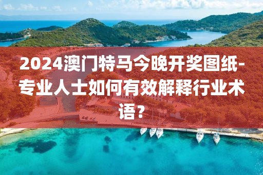 2024澳门特马今晚开奖图纸-专业人士如何有效解释行业术语？