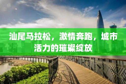 汕尾马拉松，激情奔跑，城市活力的璀璨绽放
