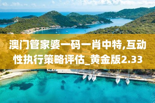 澳门管家婆一码一肖中特,互动性执行策略评估_黄金版2.33