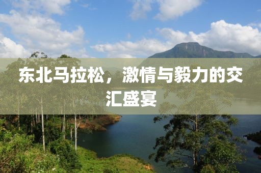 东北马拉松，激情与毅力的交汇盛宴