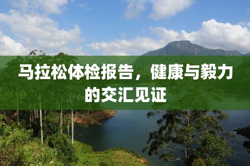 马拉松体检报告，健康与毅力的交汇见证