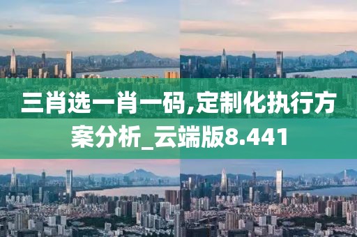 三肖选一肖一码,定制化执行方案分析_云端版8.441