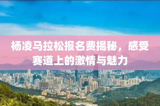 杨凌马拉松报名费揭秘，感受赛道上的激情与魅力