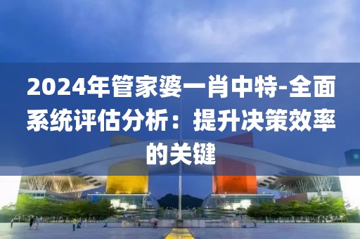 2024年管家婆一肖中特-全面系统评估分析：提升决策效率的关键