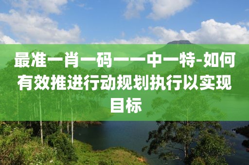 最准一肖一码一一中一特-如何有效推进行动规划执行以实现目标