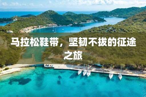 马拉松鞋带，坚韧不拔的征途之旅