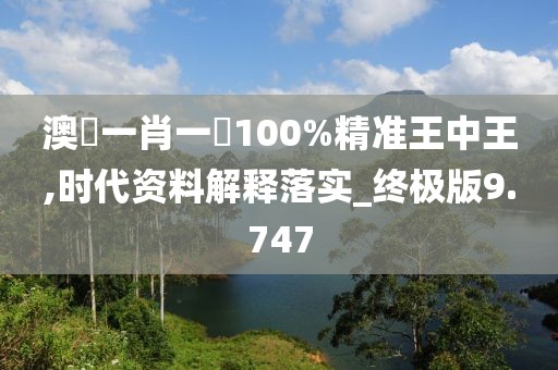 澳門一肖一碼100%精准王中王,时代资料解释落实_终极版9.747