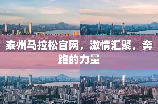 泰州马拉松官网，激情汇聚，奔跑的力量