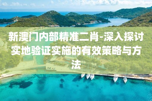 新澳门内部精准二肖-深入探讨实地验证实施的有效策略与方法