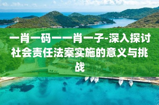 一肖一码一一肖一子-深入探讨社会责任法案实施的意义与挑战
