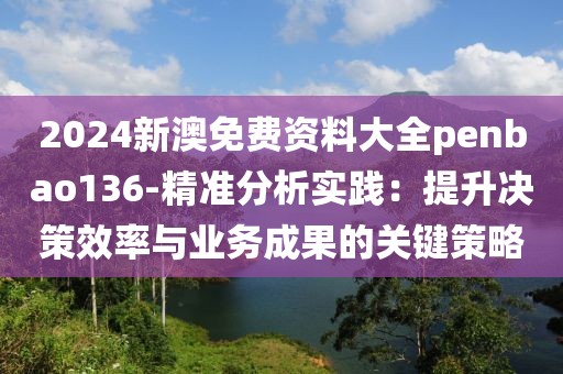 2024新澳免费资料大全penbao136-精准分析实践：提升决策效率与业务成果的关键策略