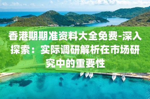 香港期期准资料大全免费-深入探索：实际调研解析在市场研究中的重要性