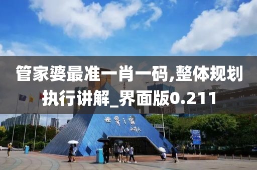 管家婆最准一肖一码,整体规划执行讲解_界面版0.211