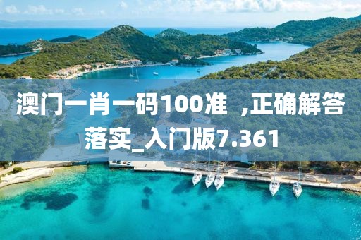 澳门一肖一码100准  ,正确解答落实_入门版7.361