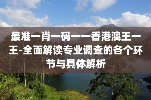 最准一肖一码一一香港澳王一王-全面解读专业调查的各个环节与具体解析