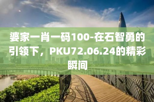 婆家一肖一码100-在石智勇的引领下，PKU72.06.24的精彩瞬间
