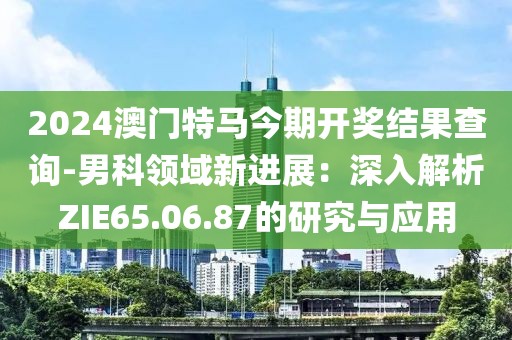 2024澳门特马今期开奖结果查询-男科领域新进展：深入解析ZIE65.06.87的研究与应用