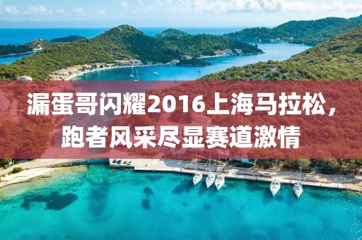 漏蛋哥闪耀2016上海马拉松，跑者风采尽显赛道激情