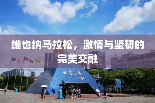 维也纳马拉松，激情与坚韧的完美交融