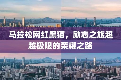 马拉松网红黑猫，励志之旅超越极限的荣耀之路