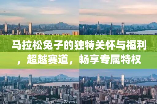 马拉松兔子的独特关怀与福利，超越赛道，畅享专属特权