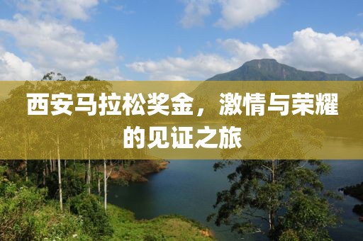 西安马拉松奖金，激情与荣耀的见证之旅
